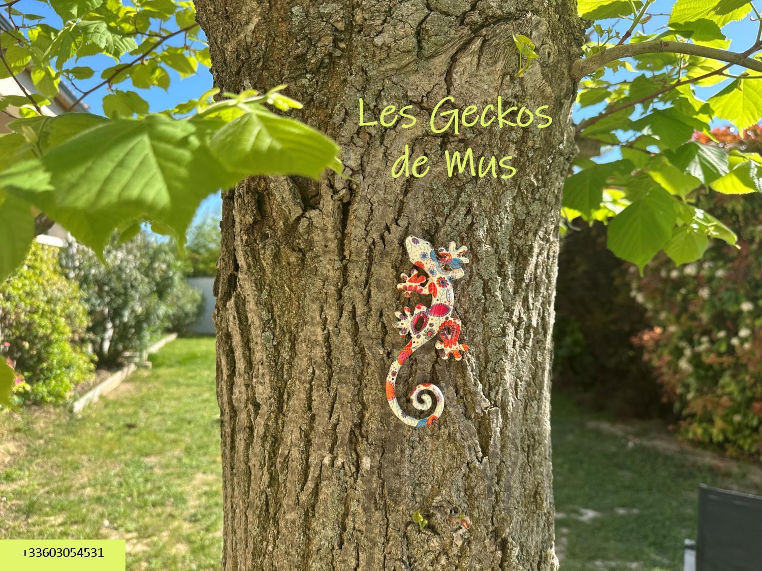 Les Geckos De Mus Apartment Ngoại thất bức ảnh